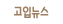 고입뉴스